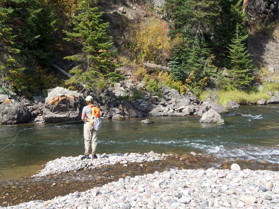 Fly Fishing in Yellowstone